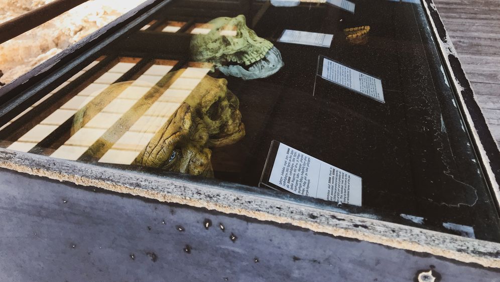 Lubanje u muzeju, ilustracija