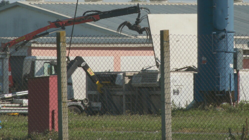 Eutanazija svinja zbog afričke svinjske kuge - 4